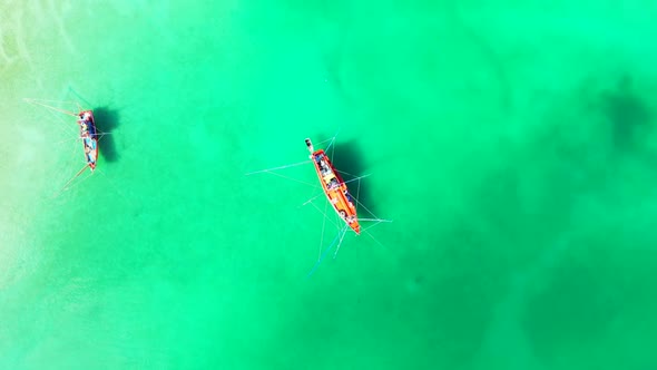 Aerial flying over scenery of tranquil island beach wildlife by blue ocean with white sand backgroun