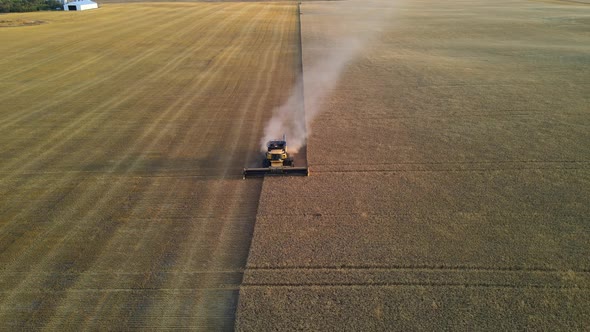 Aerial drone view from front of a modern combine harvester reaping cereals at sunset in Alberta, Can