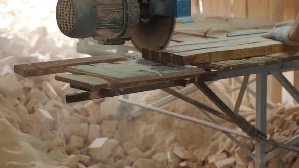 Closeup of cut pine tree log on sawing machine at wood production factory.