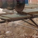 Closeup of cut pine tree log on sawing machine at wood production factory. - VideoHive Item for Sale