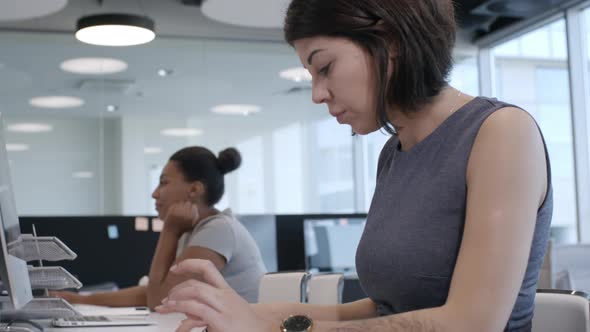 Businesswomen Working on Computers