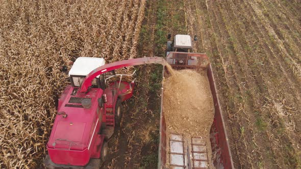 Merging of Agricultural Machinery in Corn Harvesting