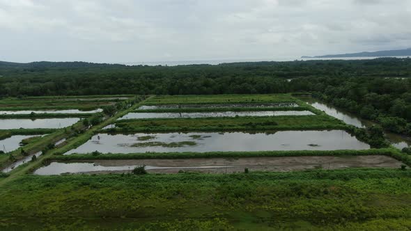 Prawn Fish Farm Aerial