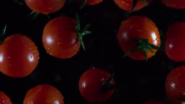 Thrown Tomatoes Fly To The Camera