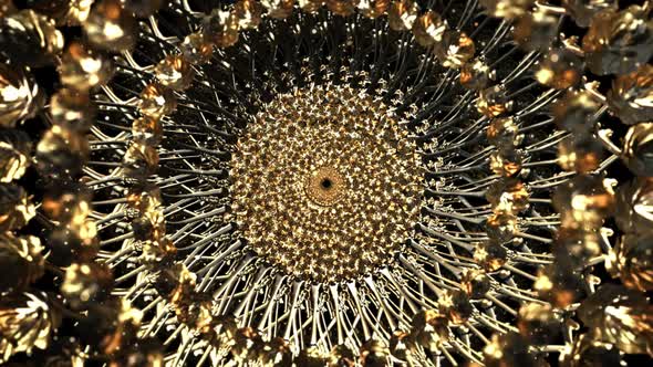 Rock Star On The Rose HD alt