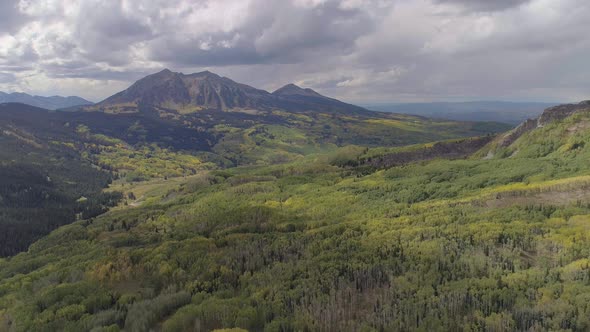 Fall foliage by Crested Butte, CO