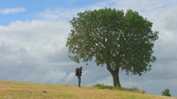 Young Man With Backpack Relaxing Near Tree, Hiker Enjoying Nature, Green Tourism