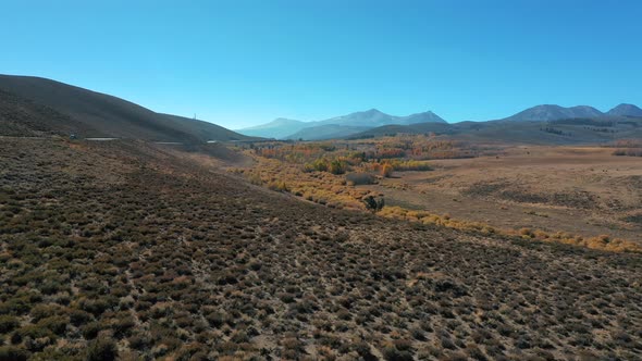 Fall Foliage Around Mammoth Lakes Area In California - aerial drone shot