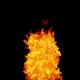The flames burn and float like a real fire to be gradually extinguished Isolated by Alpha channel - VideoHive Item for Sale