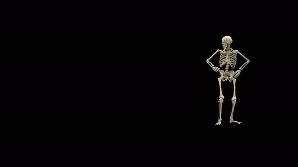 50 Ghost Halloween Dancing 4K