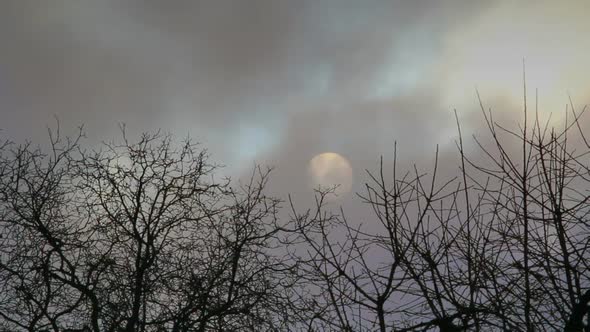 Silhouette of tree and time lapsed sky over the sun