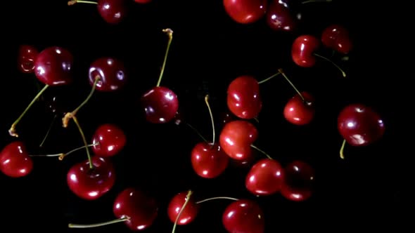 Juicy Ripe Cherries Bouncing Against To the Camera 