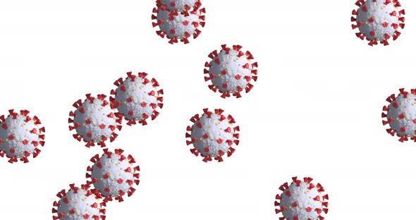 Animation of multiple cells of coronavirus spending on white background  alt