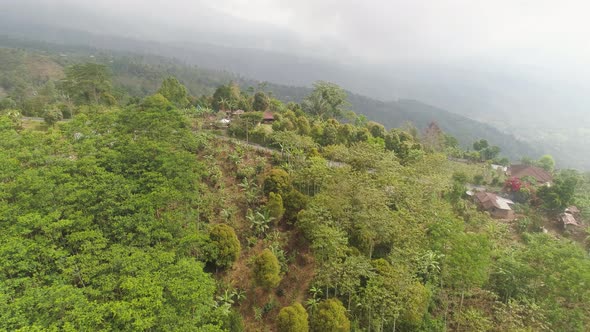 Farmlands and Village Bali Indonesia