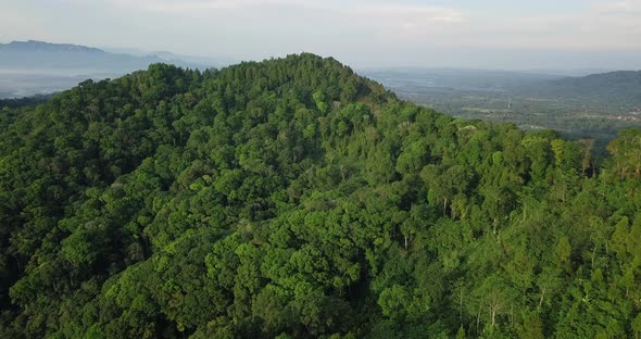 Large Trees growing on mountain of Asia surrounded by tropical landscape in summer - aerial drone sh