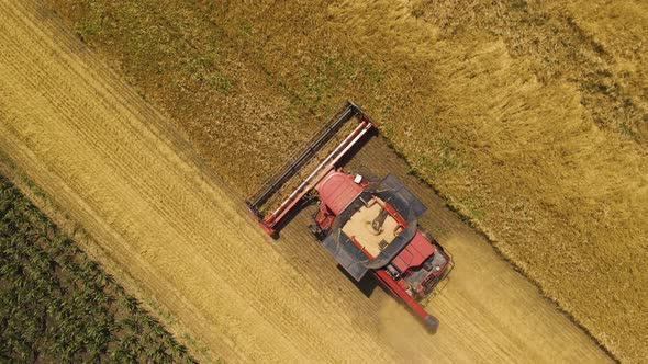 Aerial View  Resolution Modern Combine Harvester Collects Ripe Wheat