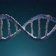 DNA Assembling - VideoHive Item for Sale