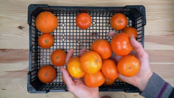 A Man's Hands Lay Ripe Tangerines an Exotic Fruit in a Delivery Box During a Pandemic