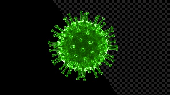 Coronavirus Visualization Covid 19 alt
