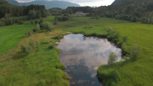 Quagmire Surrounded By Lush Green Fields And Trees. drone shot