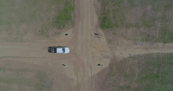 Aerial view of 4x4 pickup truck driving through wheat crops field with silos bags on the road. Argen