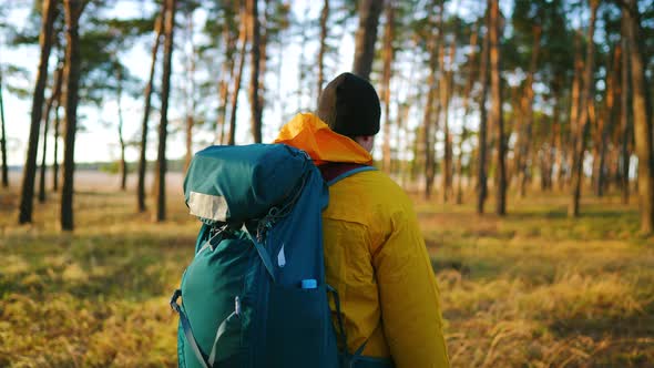 Man Backpacker Walking on Pine Forest