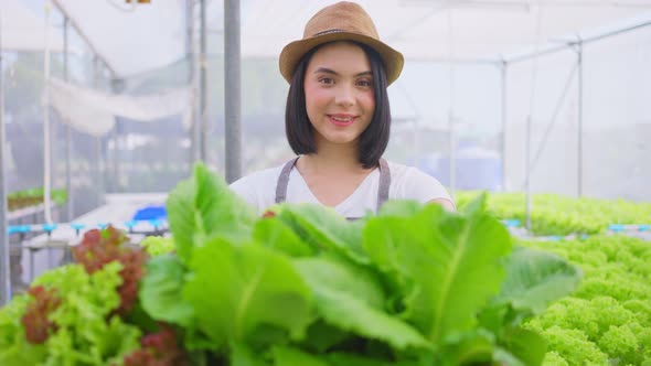 Portrait of beautiful farmer girl carry box of vegetable green salad in hydroponic greenhouse farm.