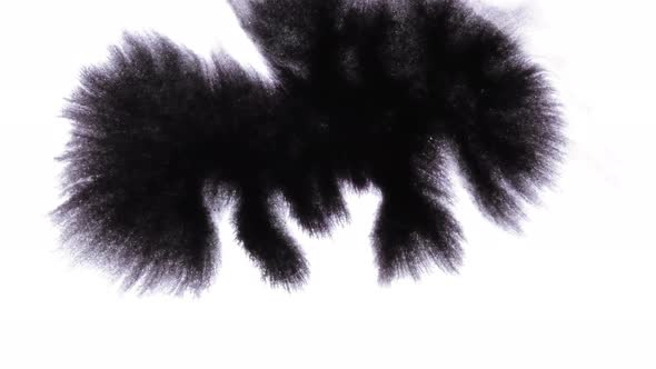 Ink Drops 