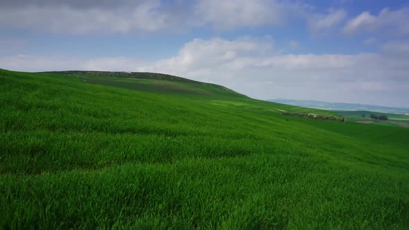 Green Grass Hill in Morocco, Africa