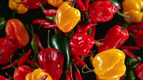 Super Slow Motion Shot of Flying Mixed Chilli Peppers Towards Camera at 1000Fps