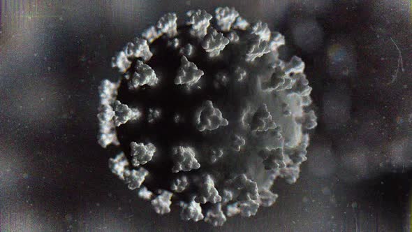 Coronavirus composition