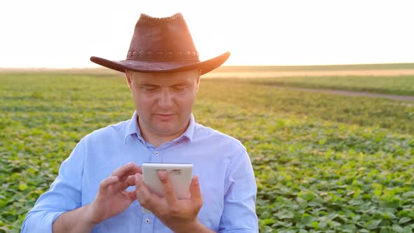 A Farmer Contacts the Office By Video Call From His Field at Sunset