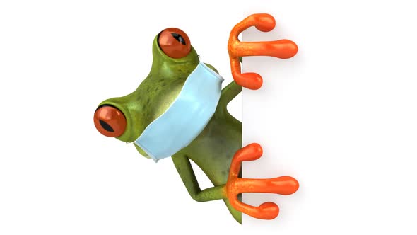 Frog with a mask