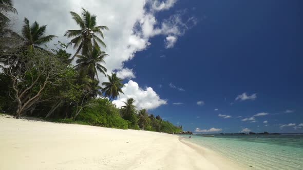 Tropical Island Beach