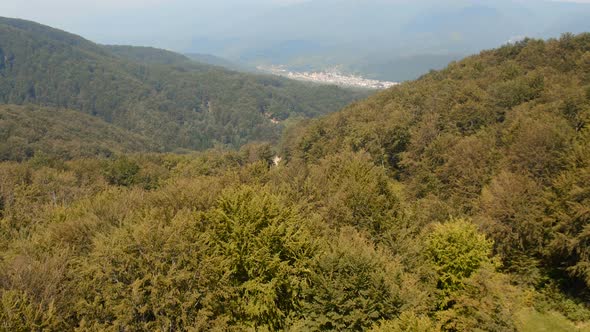 Aerial view of a forest in Transylvania