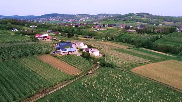 blooming apple trees fields, stunning aerial view