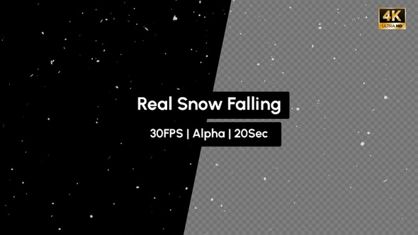 Real Snow Falling with Alpha