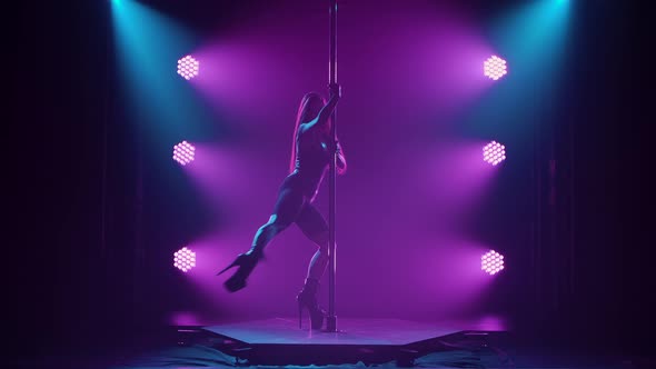 Young Sexy Slender Woman Dancing on a Pole Striptease with a Pylon in a Nightclub