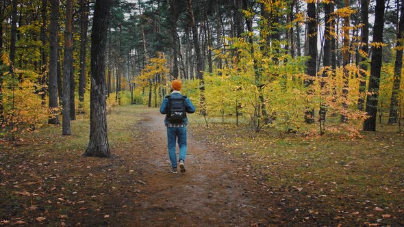 Millennial Man Walking on Path in Autumn Forest Back View Slow Motion Follow Shot