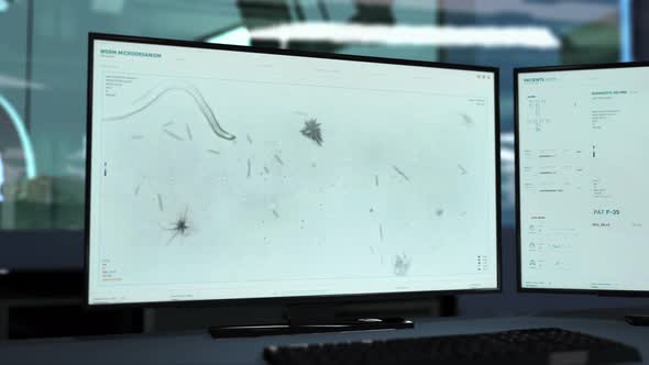 Medical Research System Analysis Of Worm Microorganisms Effect On Immune System alt