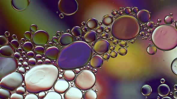 Abstract Colorful Food Oil Drops Bubbles 118