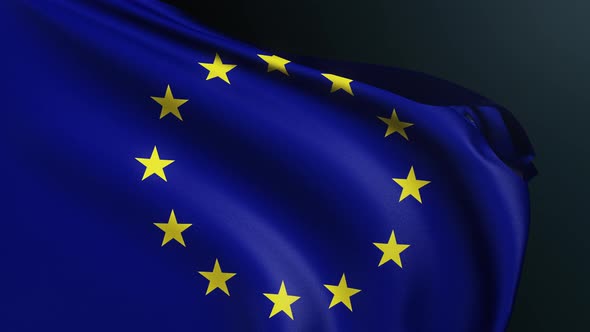 Eu Flag European Union Council Official Symbol
