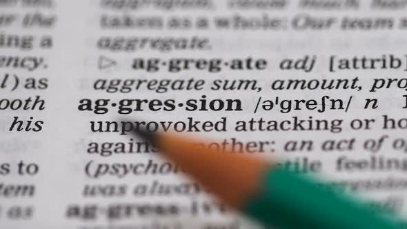 Aggression Word in English Vocabulary, Hostile Attitude, Domestic Misbehavior