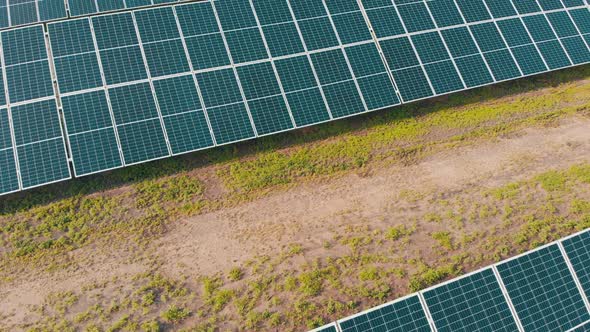 Aerial View of Solar Power Station. Panels Stand in a Row on Green Field. Summer