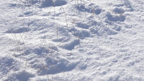 Slow motion  winter scenery of mountain snowed tops  1920X1080 HD footage - Beautiful white  snow ov