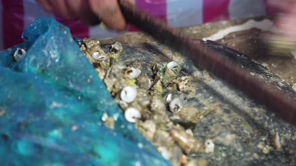 Fresh Clams Fish Market Philippines