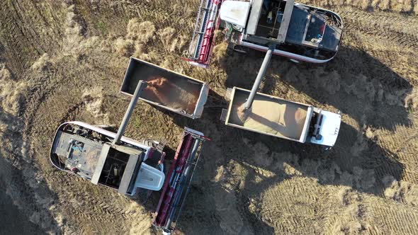 Aerial View of a Combain Harvesters Fill the Truck with Corn