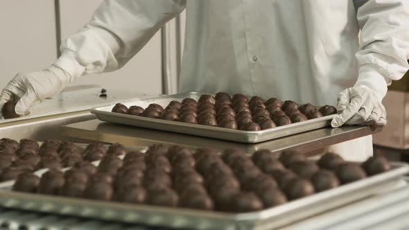 Chocolate truffles sorted onto trays at candy factory
