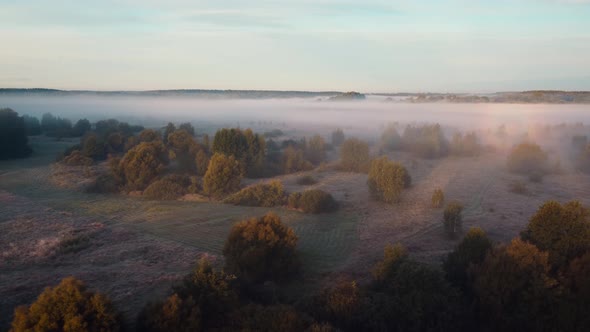 Countryside in the autumn morning