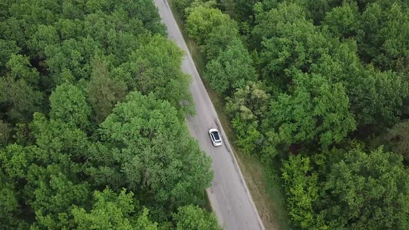 Tracking Aerial Shot White Car on Green Forest Road